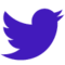 Twitter icon